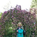 ���� ��������, ����-��������� - ��������� 10 ���� 2019 � ������ ���� ����������