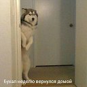 ���� ���������, �����-��������� - ��������� 4 ���� 2019