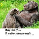 ���� ���������, �����, 46 ��� - ��������� 26 ������ 2019 � ������ ���� ����������