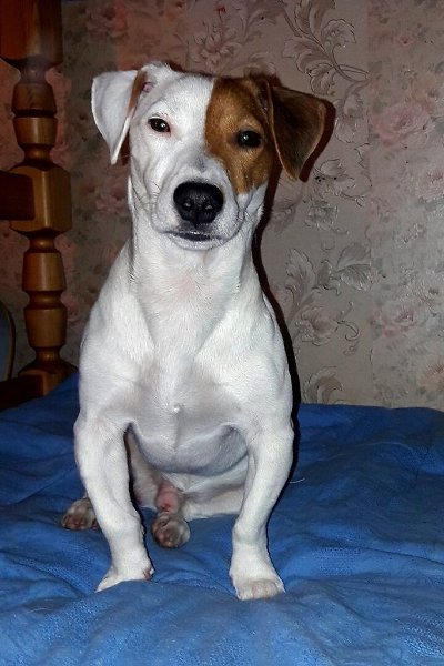 ��� ������ �������� � ��� ����.������ ���� ������ ������ ������� ��������