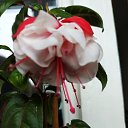 ���� ��������, �����-���������, 64 ���� - ��������� 28 ������� 2019