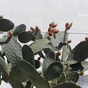���� ���������� ����������, ���������, 69 ��� - ��������� 8 ������� 2019 � ������ ����� �������
