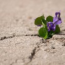  ••,  -  11  2019       ...