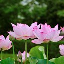 ���� Tanya, ������� - ��������� 26 ��� 2019 � ������ ������ ��������