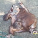 ���� �����, ���������, 55 ��� - ��������� 18 ������ 2019 � ������ ���� ����������