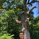 ���� ��������, ����, 55 ��� - ��������� 1 ���� 2019 � ������ ���� ����������