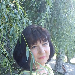 ���� �������, ������, 53 ���� - ��������� 30 ������� 2019