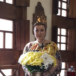 ���� ��������������, �����������, 66 ��� - ��������� 24 ���� 2019