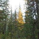 ���� *�������*, ������ - ��������� 27 �������� 2019 � ������ ��������