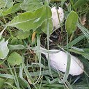  , , 50  -  4  2019   3.10.2019 