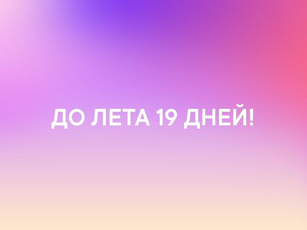   - 13  2019  03:34
