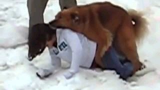 ���� �����, ������, 27 ��� - ��������� 20 ������ 2019