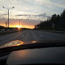  Sl Vivacobra, , 53  -  16  2019    