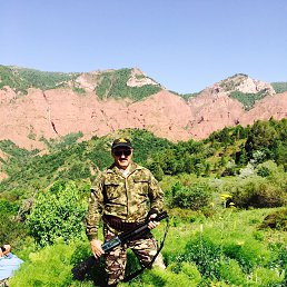 ��������, �������, 50 ���