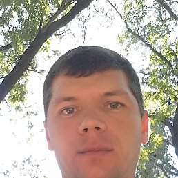 Kotik, ����, 38 ���