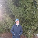 ���� �������, ���������, 54 ���� - ��������� 13 ��� 2019