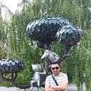 ���� ���, �������, 49 ��� - ��������� 16 ���� 2019 � ������ ���� ����������