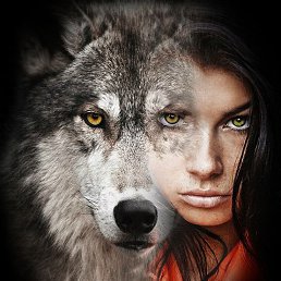  She-wolf.    .,  -  30  2019