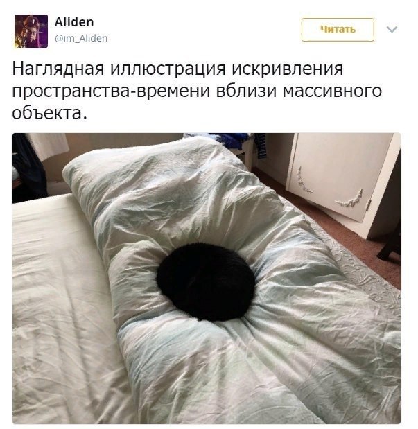    - 25  2019  20:29