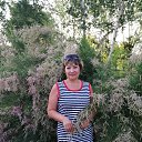 ����� 2019�.(����)