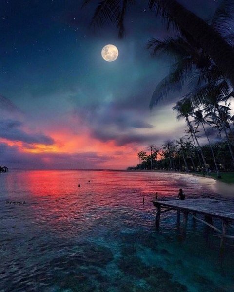 ��o��o �ap���a..