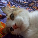 ���� Tia -������... 80, ������ - ��������� 20 ������ 2019 � ������ ������ ��������