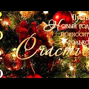 ���� �����, �������� - ��������� 3 ������ 2020 � ������ ������ ��������