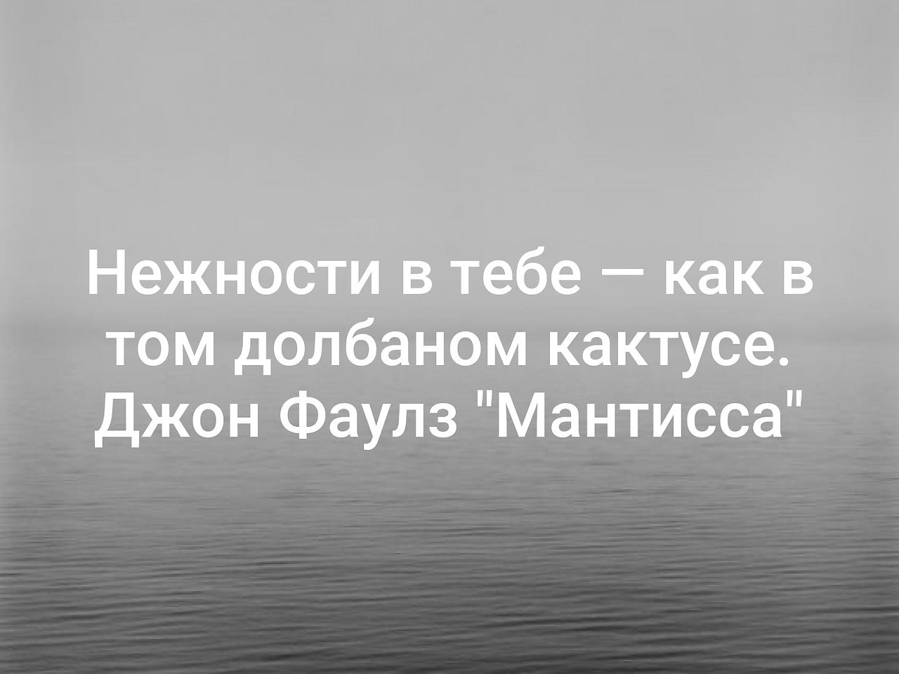 ������ ����� ������� ������ - 5 ������� 2019 � 19:17