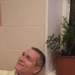 �������, �����-���������, 55 ���