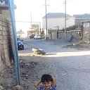 ���� V&uuml;sal, ����, 41 ��� - ��������� 21 ������ 2019