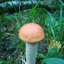 ����� ����� ��� �� ����? �� ������� ���� ����������