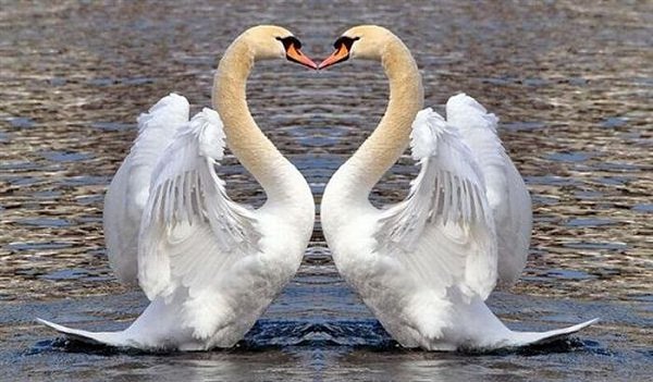   - 28  2019  16:08 - 2