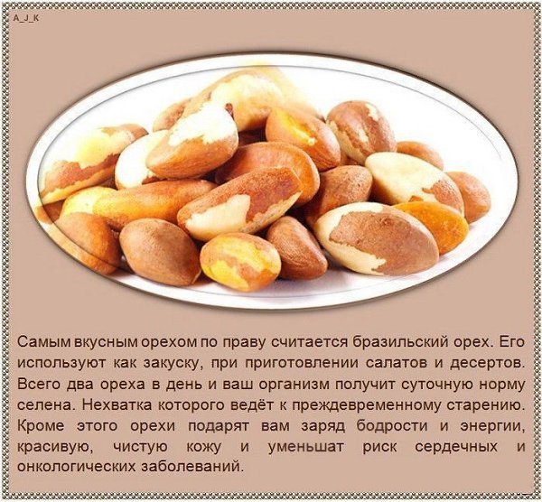 Интересные факты о разных видах орехов.#советы@ican - 8