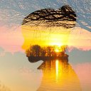 ���� �������, ������ - ��������� 10 �������� 2019 � ������ ������ ��������