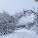 ���� �����, ������, 61 ��� - ��������� 13 ������� 2019 � ������ ���� ����������