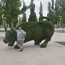 ���� ���������, ��������, 36 ��� - ��������� 23 ���� 2019 � ������ ���� ����������