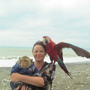 �������, 58 ���, ������