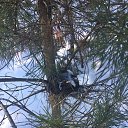 ���� �����, �����-��������� - ��������� 3 ������ 2019 � ������ ���� ����������