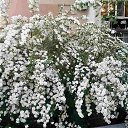 ���� �������, ����, 59 ��� - ��������� 30 ������ 2019 � ������ ��������-3�