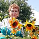 ���� �����, ��������, 63 ���� - ��������� 8 ���� 2019 � ������ ���� ����������