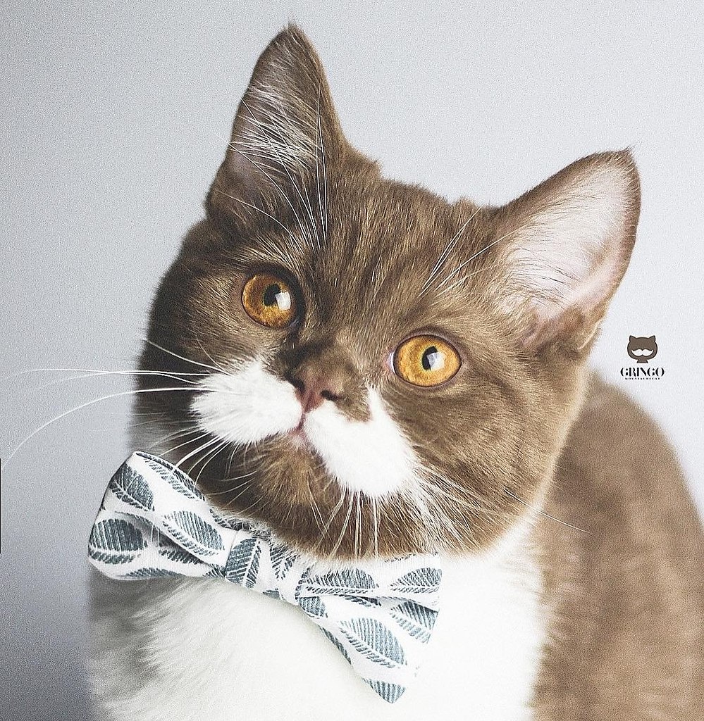   .            ... - 3