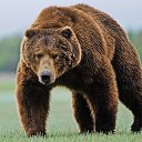 ���� �������, �������, 27 ��� - ��������� 11 ���� 2019 � ������ ���� ����������