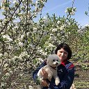 ���� ����, ������-��-����, 52 ���� - ��������� 2 ��� 2019 � ������ ���� ����������