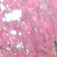 ���, 65 ���, ������