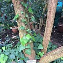 ���� ����, �����������, 50 ��� - ��������� 6 ������ 2019 � ������ ������������� ���