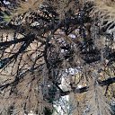  , , 50  -  9  2019    2019