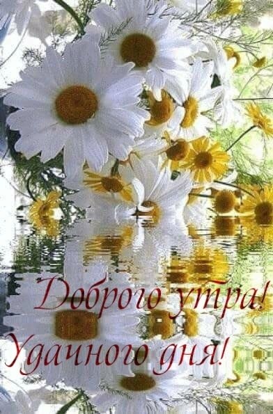   ,    . - 26  2019  21:36 - 2