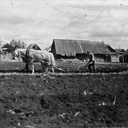 �������, ������������, 67 ���