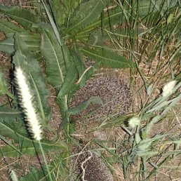 ���� �����, ���� - ��������� 16 ���� 2019