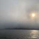  Serzh Van Der Maaremaan,  -  11  2019    